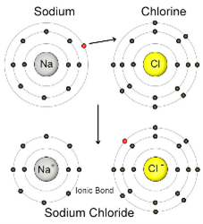 When sodium and chlorine atoms come together to form sodium chloride (NaCl), they transfer an electron.